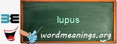 WordMeaning blackboard for lupus